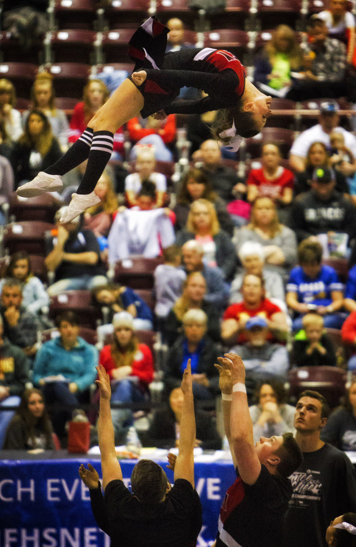 State Cheer Championships